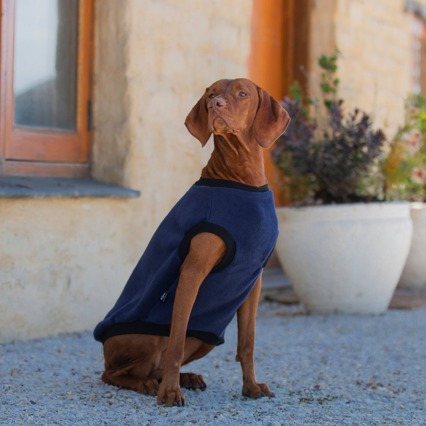 DGG Navy Blue Polar Fleece Dog Warmie - My Pooch and Me