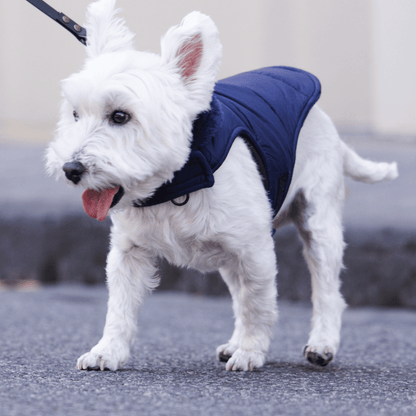 DGG Navy Blue Puffer Dog Coat - My Pooch and Me