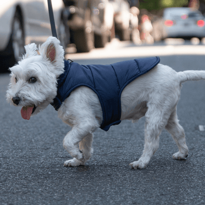 DGG Navy Blue Puffer Dog Coat - My Pooch and Me