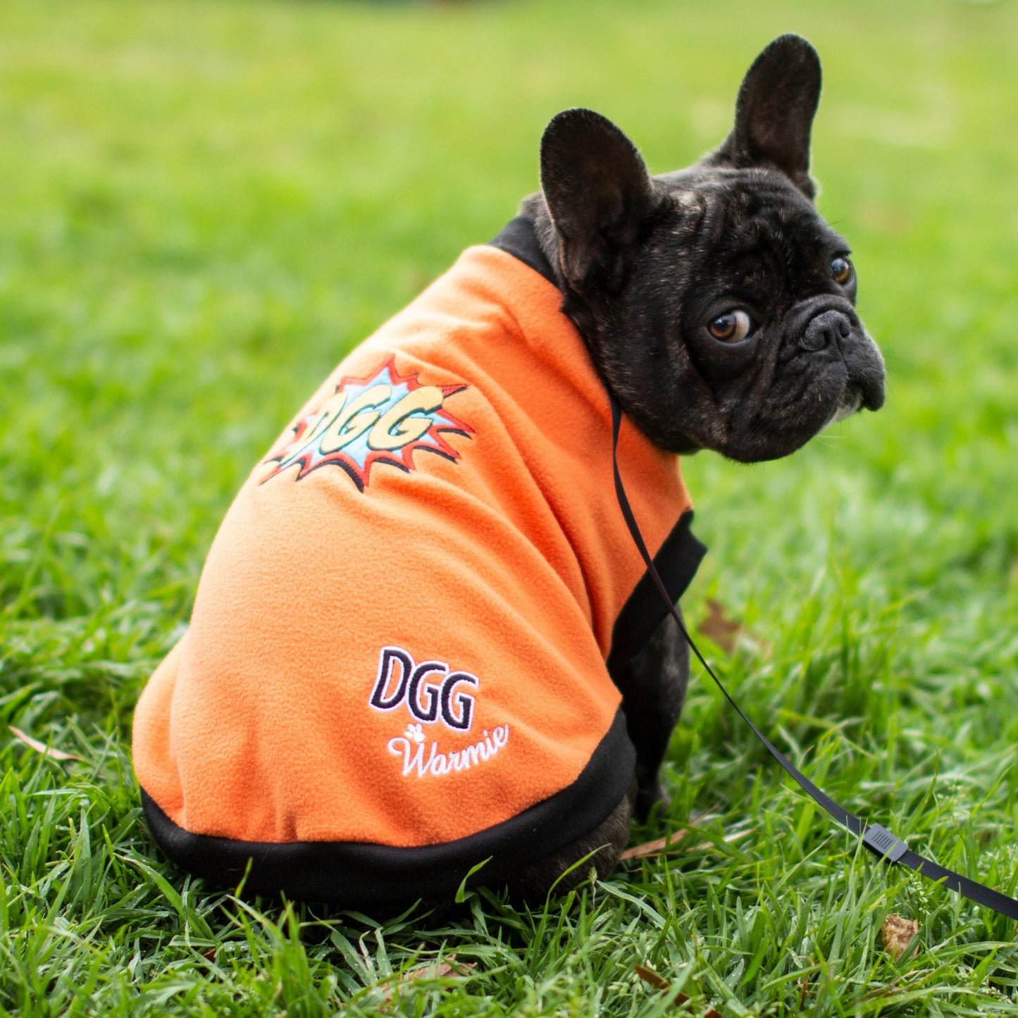 DGG Orange KAPOW Warmie Dog Jumper - My Pooch and Me