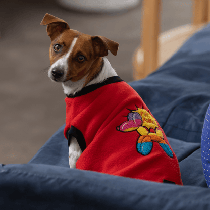 DGG Party Animal Polar Fleece Dog Warmie - My Pooch and Me
