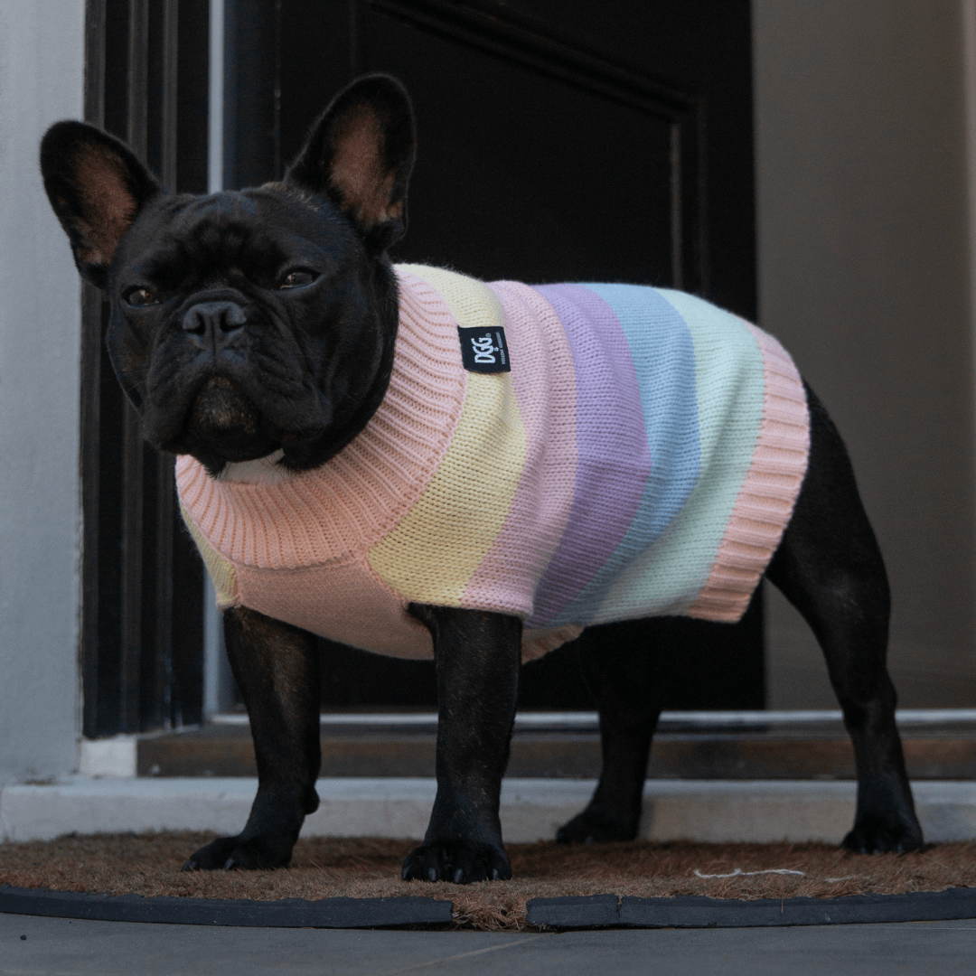 DGG Pastel Pink Knitted Dog Jumper - My Pooch and Me
