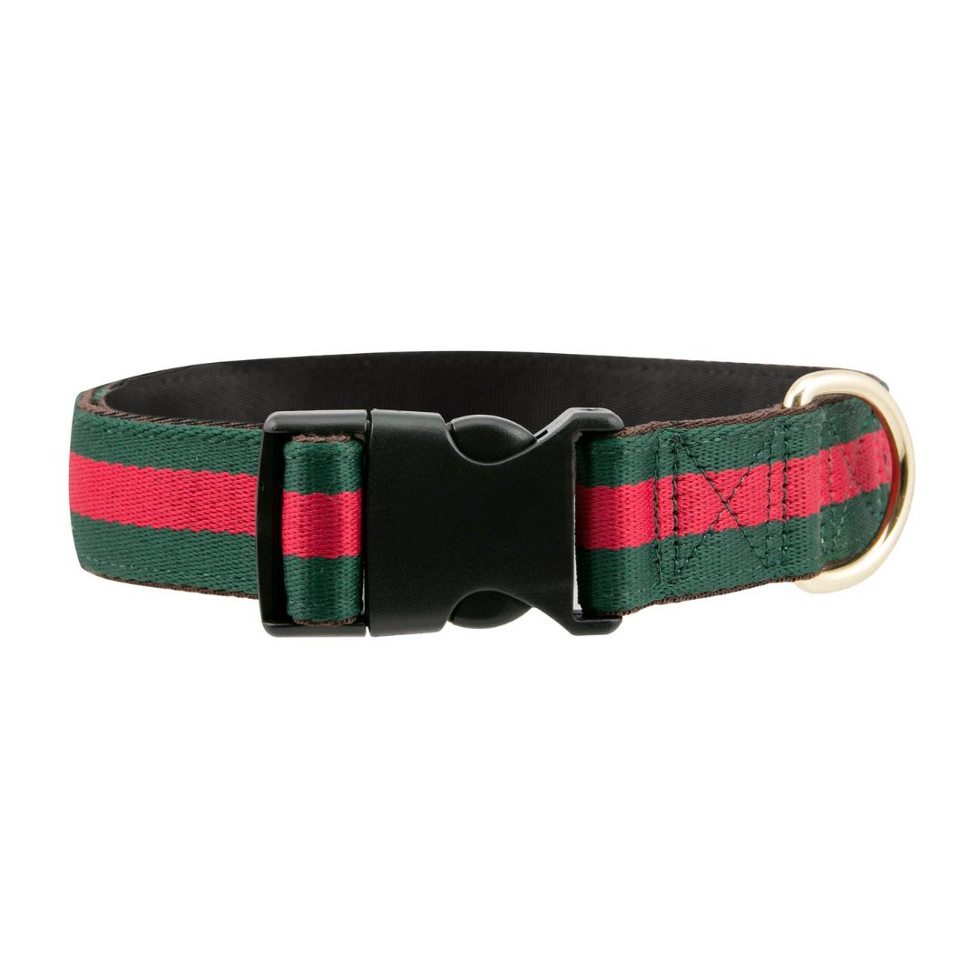 DGG Poochi Designer Dog Collar - My Pooch and Me