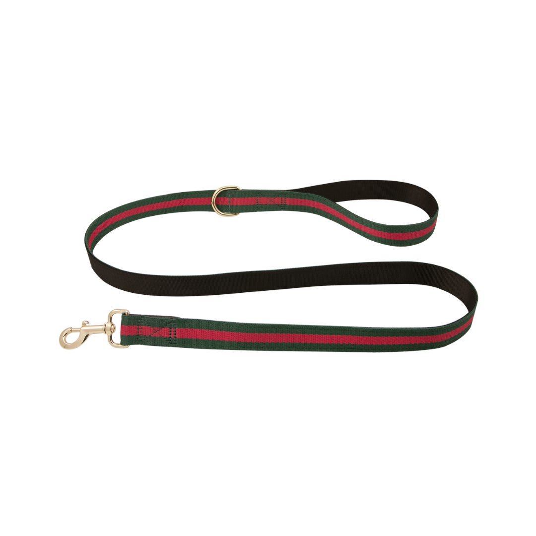 DGG Poochi Designer Dog Lead - My Pooch and Me