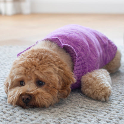 DGG Purple Homie Knitted Dog Jumper - My Pooch and Me