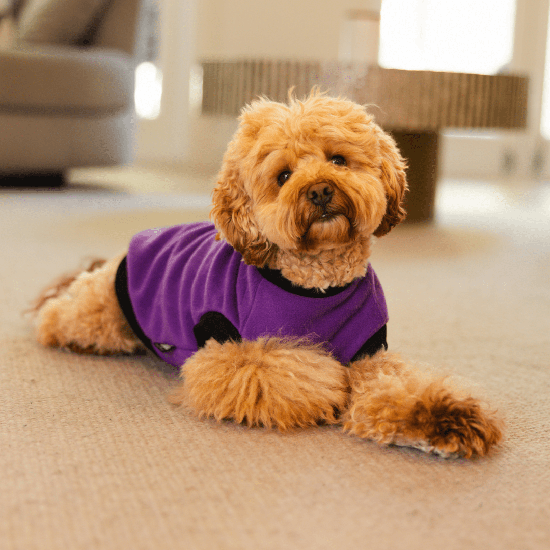 DGG Purple My Love Polar Fleece Dog Warmie - My Pooch and Me