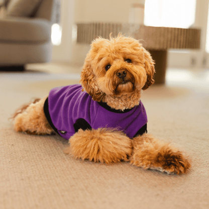 DGG Purple My Love Polar Fleece Dog Warmie - My Pooch and Me