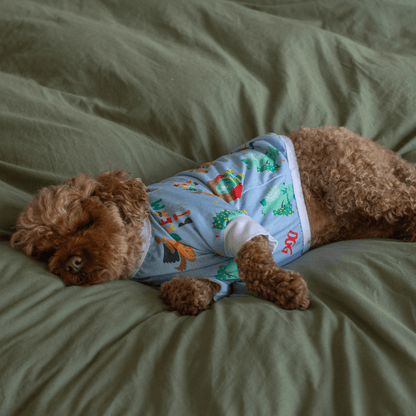 DGG Pyjamas Blue - My Pooch and Me