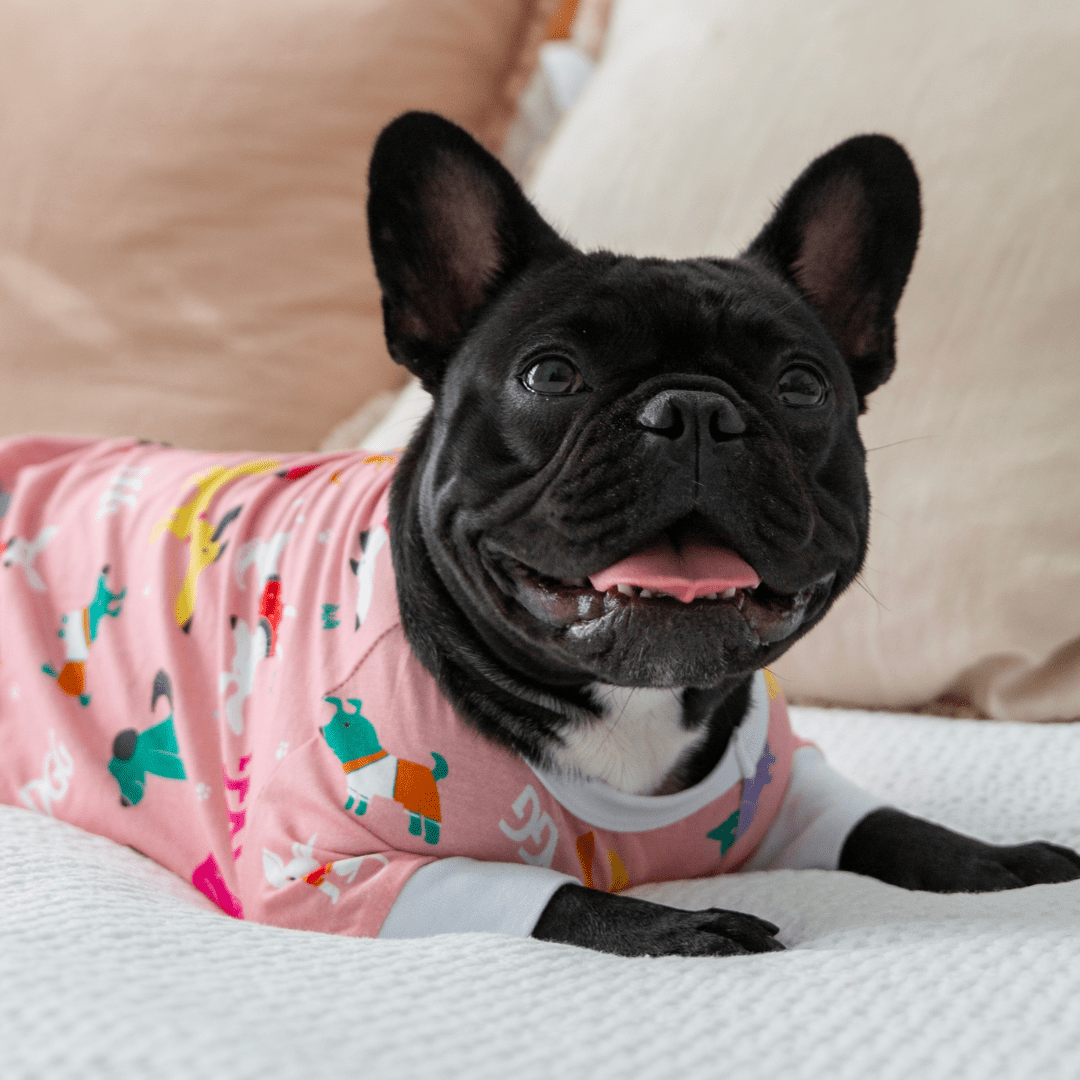 DGG Pyjamas Pink - My Pooch and Me