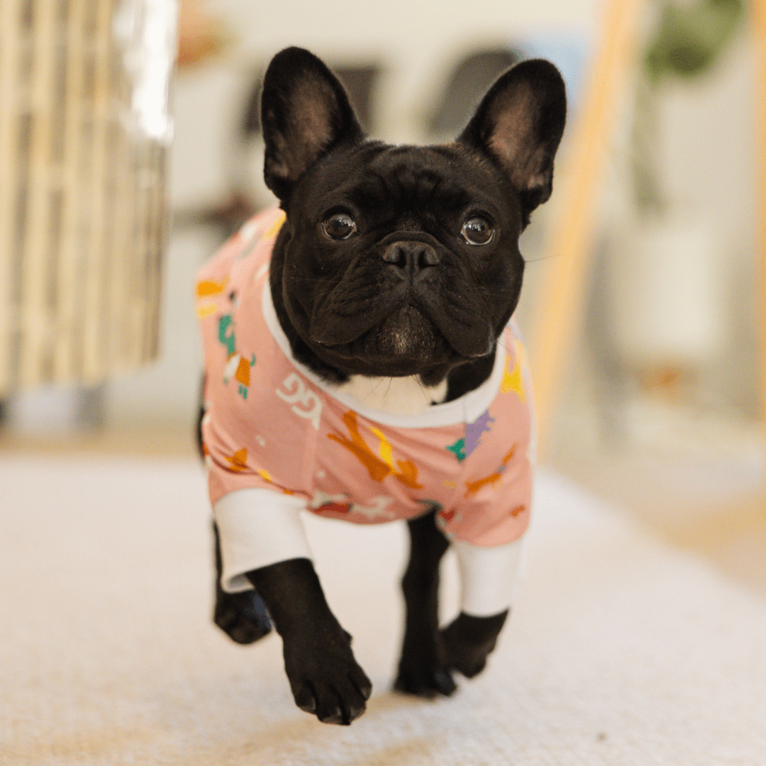 DGG Pyjamas Pink - My Pooch and Me