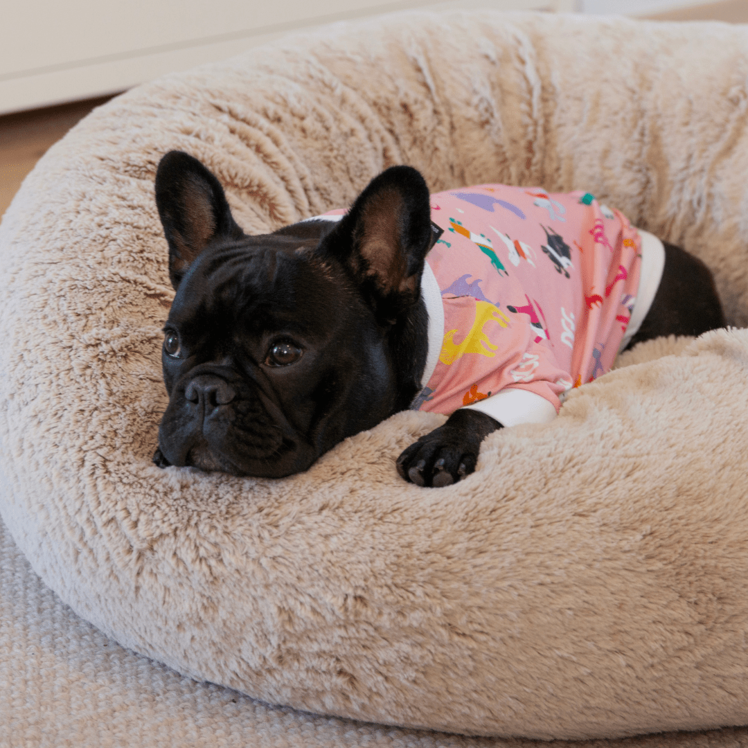 DGG Pyjamas Pink - My Pooch and Me