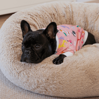 DGG Pyjamas Pink - My Pooch and Me