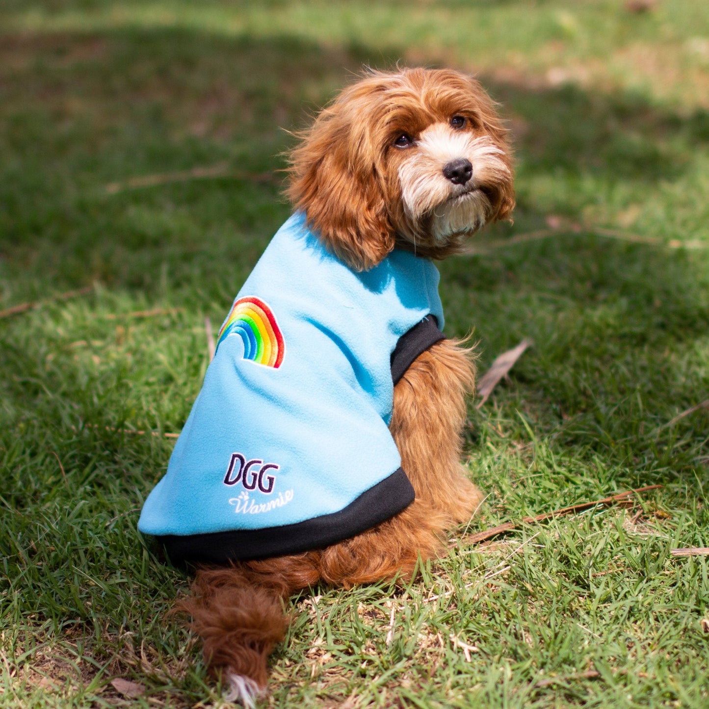 DGG Rainbow Polar Fleece Dog Warmie - My Pooch and Me