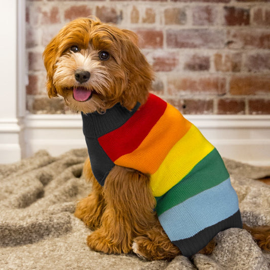 DGG Rainbow Stripe Knitted Dog Jumper - My Pooch and Me