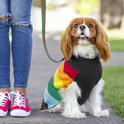 DGG Rainbow Stripe Knitted Dog Jumper - My Pooch and Me