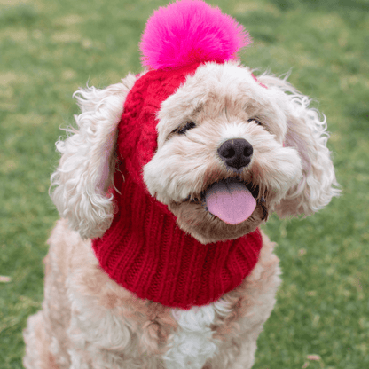 DGG Raspberry Pom Pom Dog Beanie - My Pooch and Me