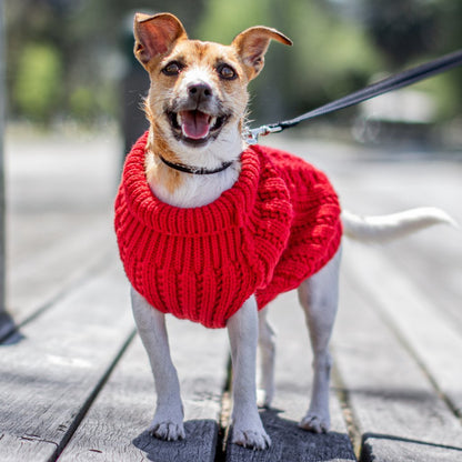 DGG Red Chunky Cable Knitted Dog Jumper - My Pooch and Me