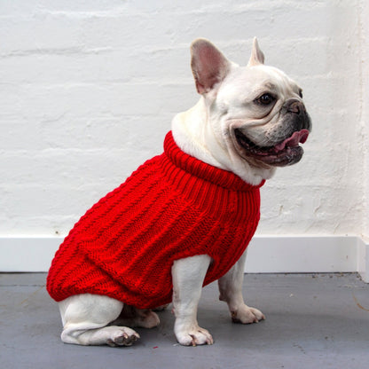 DGG Red Chunky Cable Knitted Dog Jumper - My Pooch and Me