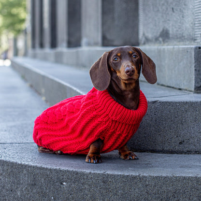 DGG Red Chunky Cable Knitted Dog Jumper - My Pooch and Me