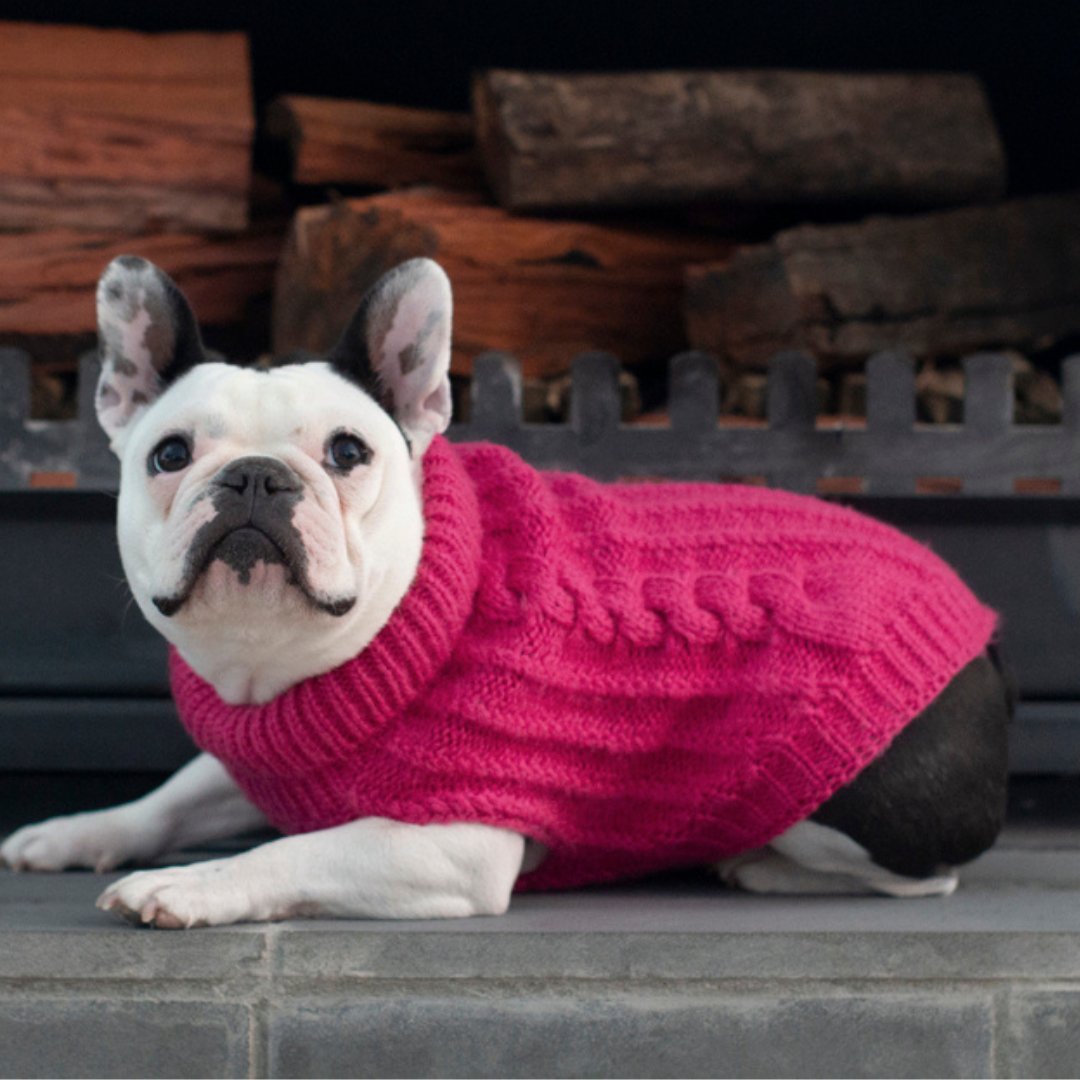 DGG Rhubarb Fluffy Cable Knitted Dog Jumper - My Pooch and Me