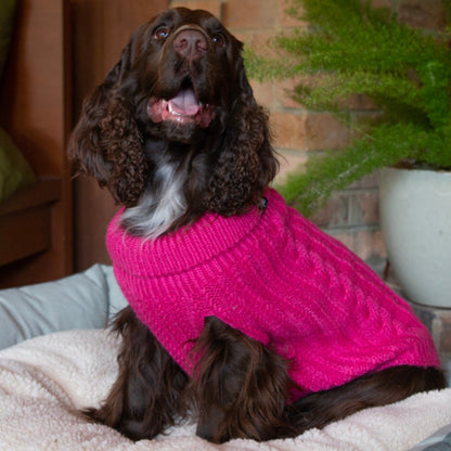 DGG Rhubarb Fluffy Cable Knitted Dog Jumper - My Pooch and Me