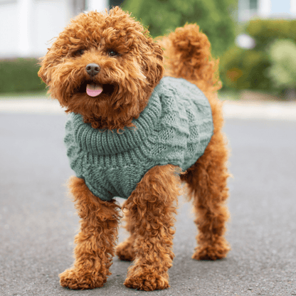 DGG Sage Green Fluffy Cable Knitted Dog Jumper - My Pooch and Me