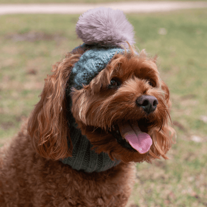 DGG Sage Green Pom Pom Dog Beanie - My Pooch and Me