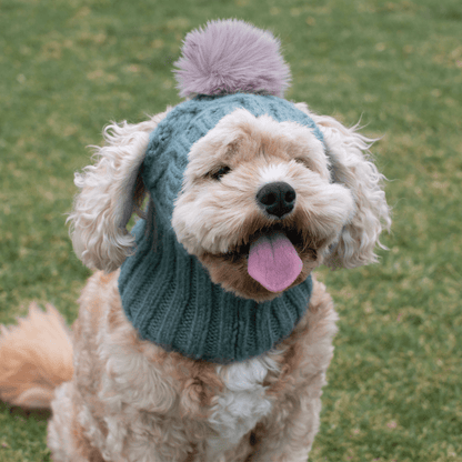 DGG Sage Green Pom Pom Dog Beanie - My Pooch and Me