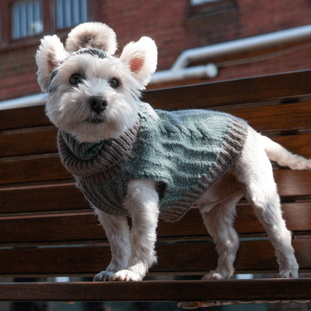 DGG Sage & Grey Chunky Knitted Dog Jumper - My Pooch and Me