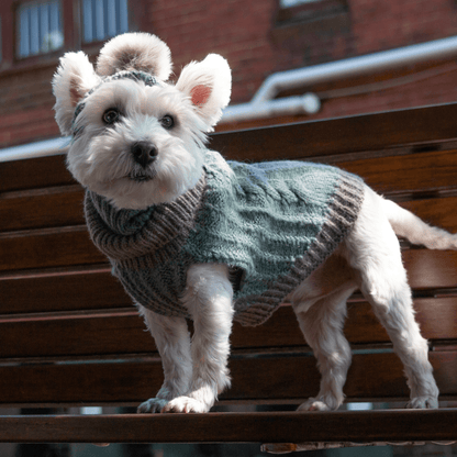 DGG Sage & Grey Chunky Knitted Dog Jumper - My Pooch and Me
