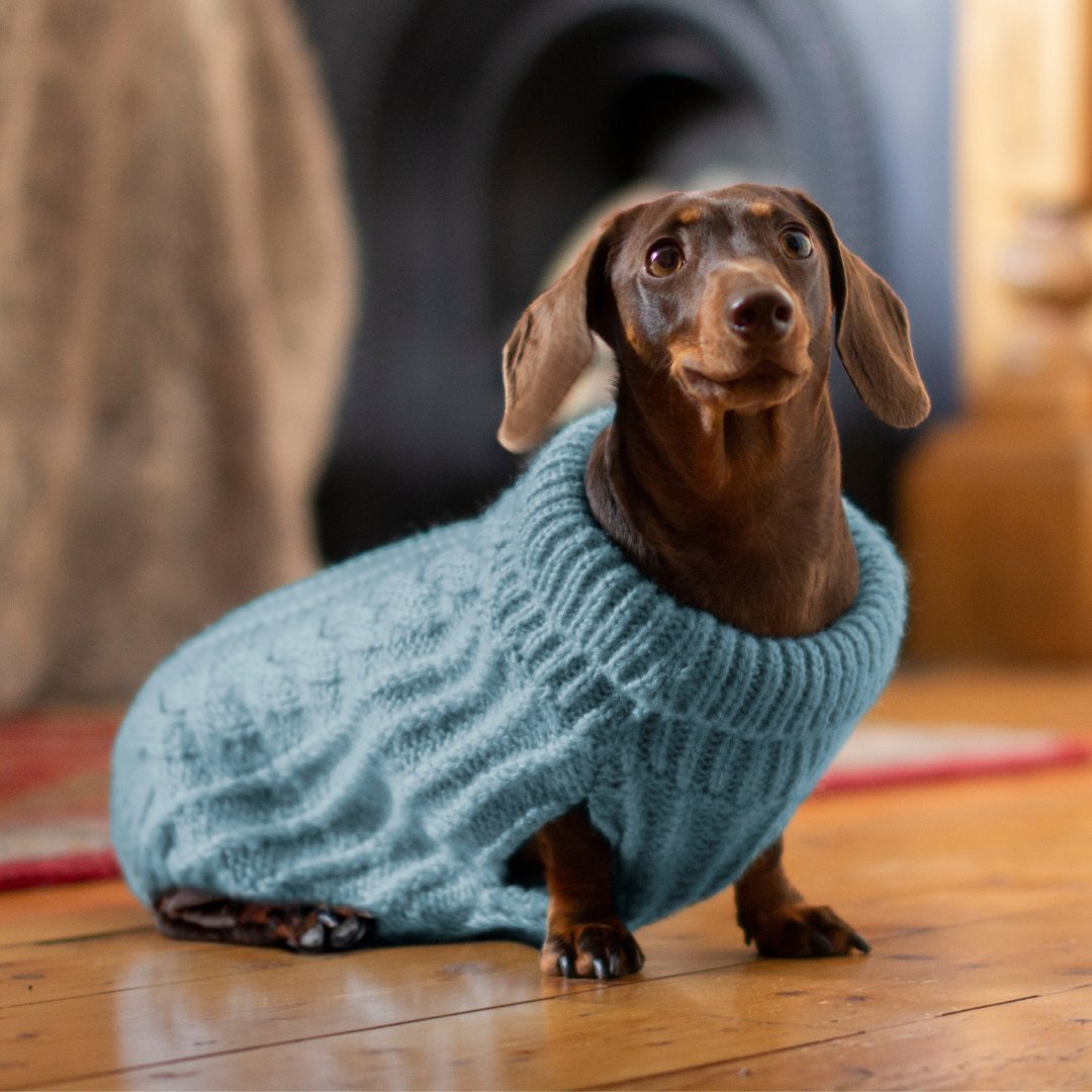 DGG Sky Blue Fluffy Cable Knitted Dog Jumper - My Pooch and Me