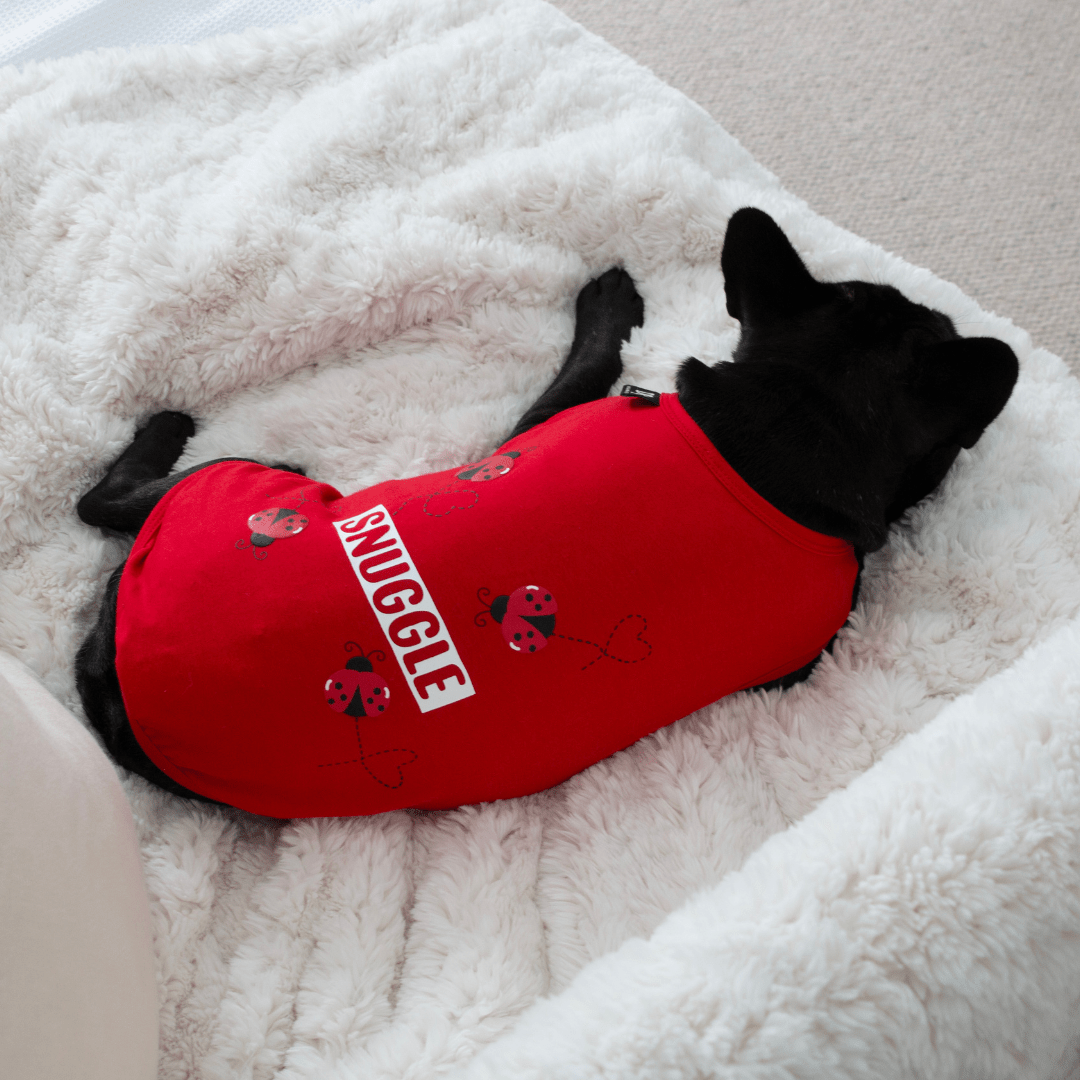 DGG Snuggle Bug Dog T-Shirt - My Pooch and Me