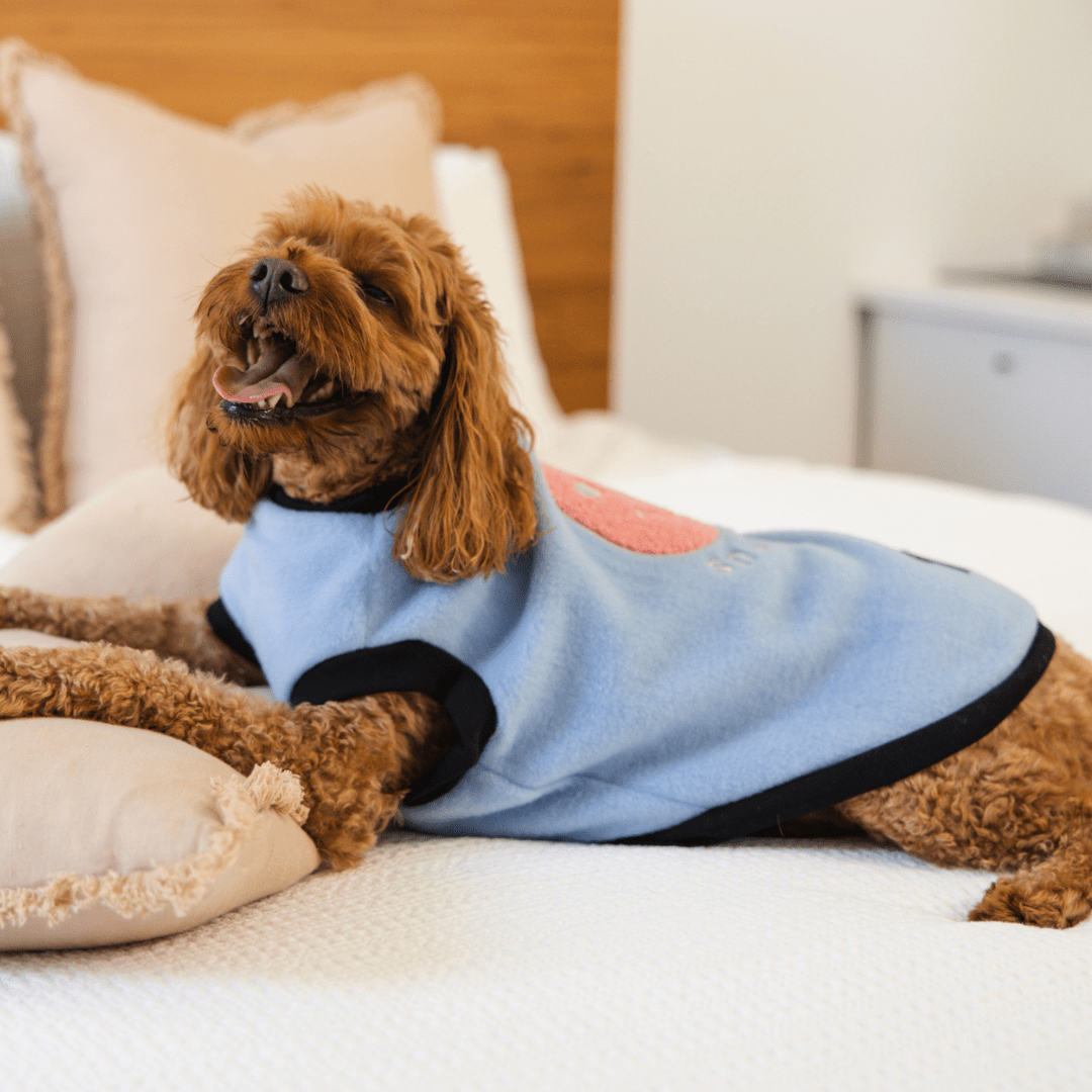 DGG Sparkly Snuggles Polar Fleece Dog Warmie - My Pooch and Me