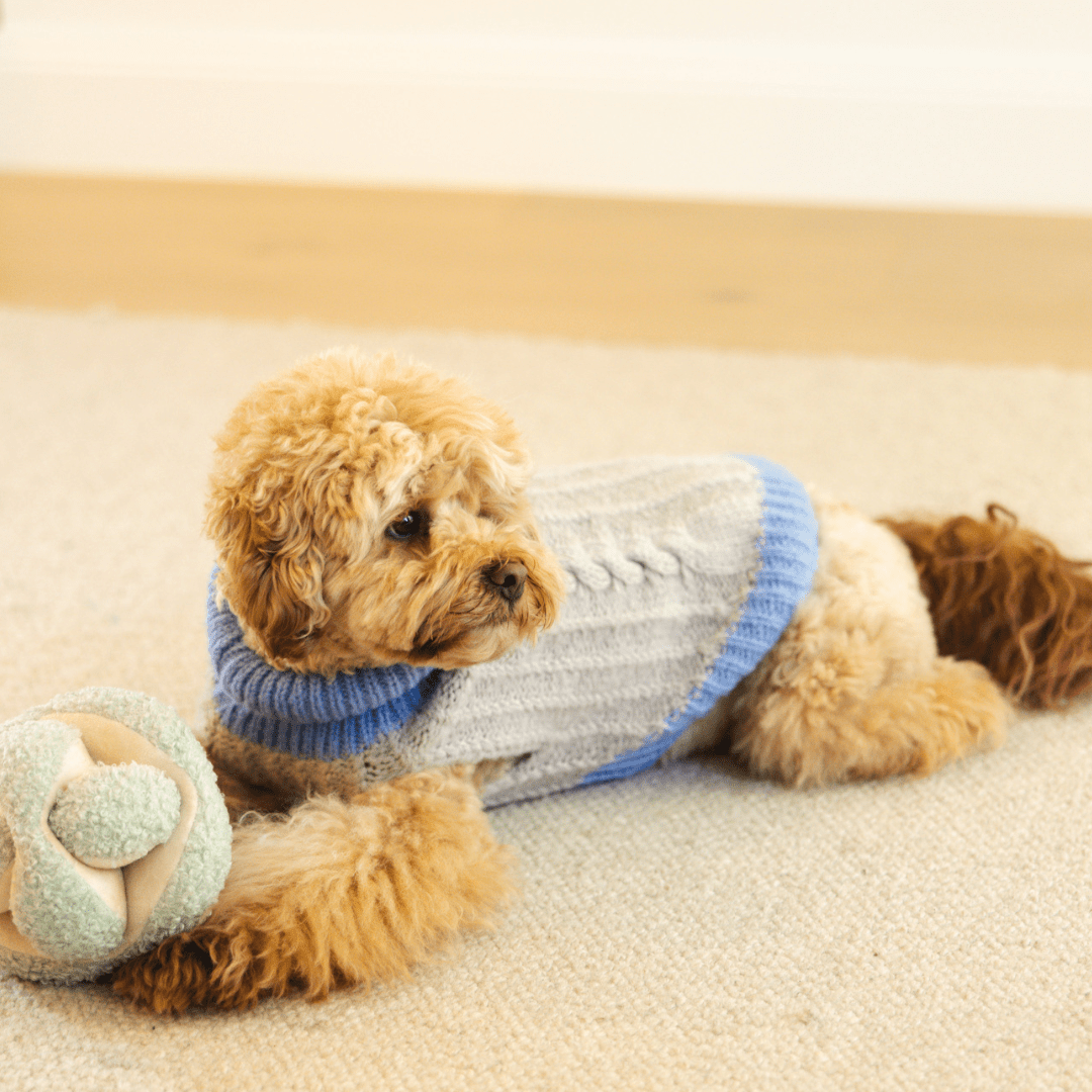 DGG Taupe & Grey Chunky Knitted Dog Jumper - My Pooch and Me