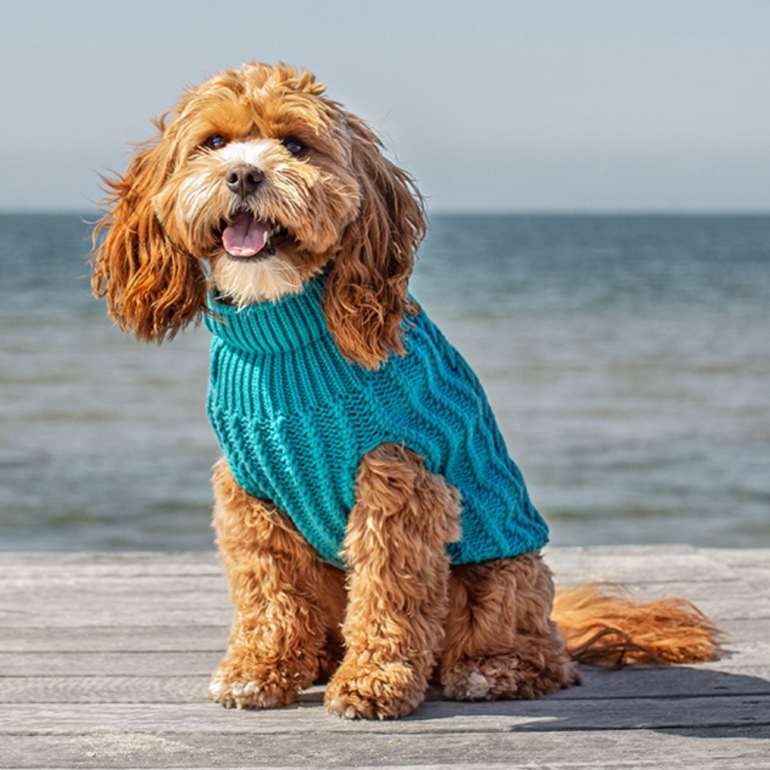 DGG Teal Chunky Cable Knitted Dog Jumper - My Pooch and Me