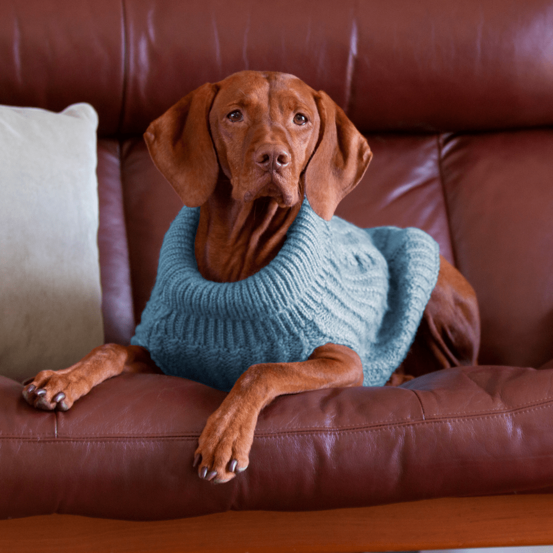 DGG Teal Fluffy Cable Knitted Dog Jumper - My Pooch and Me