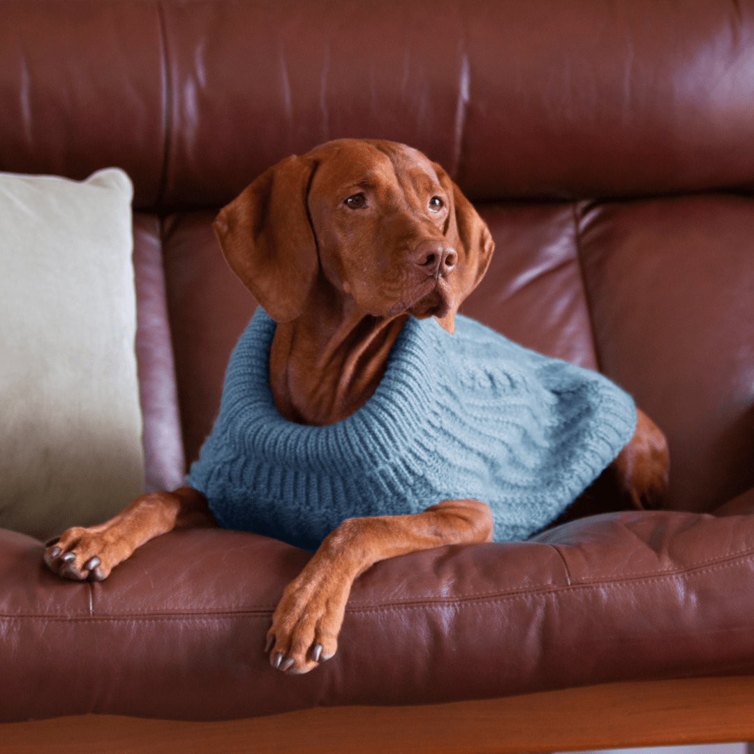 DGG Teal Fluffy Cable Knitted Dog Jumper - My Pooch and Me
