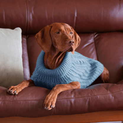 DGG Teal Fluffy Cable Knitted Dog Jumper - My Pooch and Me