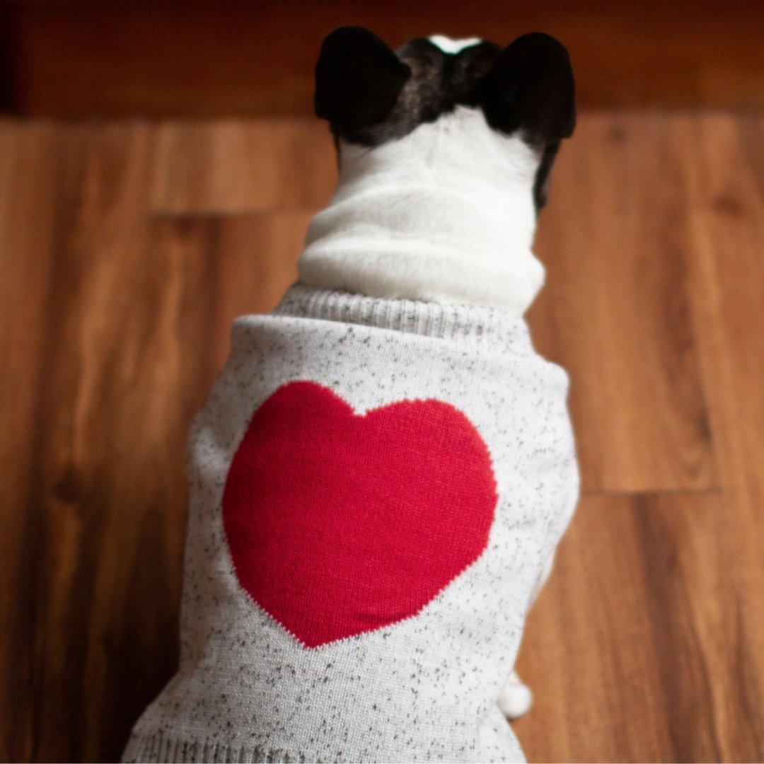 DGG This Much Knitted Dog Jumper - My Pooch and Me