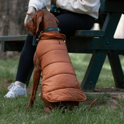 DGG Toffee Puffer Dog Coat - My Pooch and Me