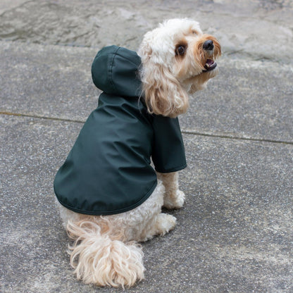 DGG Wet Weather Rain Walker Coat - My Pooch and Me