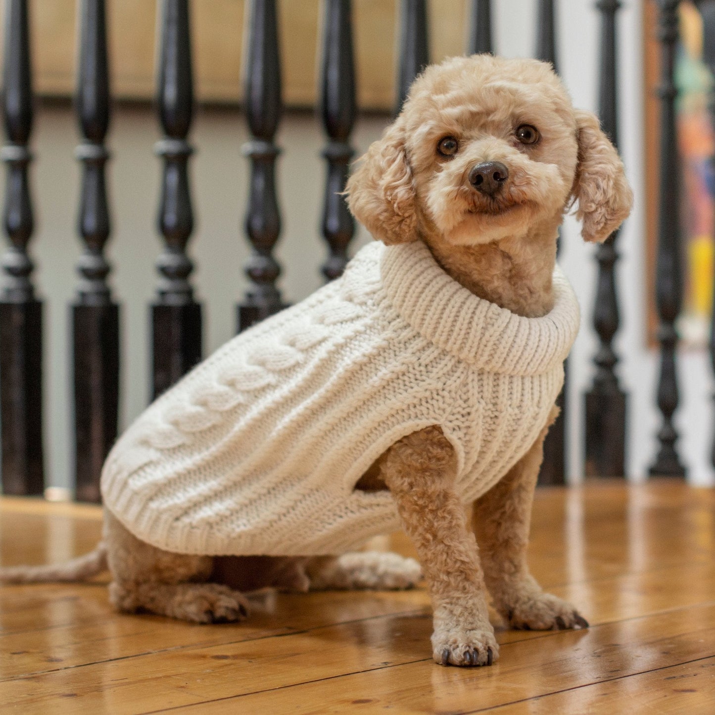 DGG White Fluffy Cable Knitted Dog Jumper - My Pooch and Me