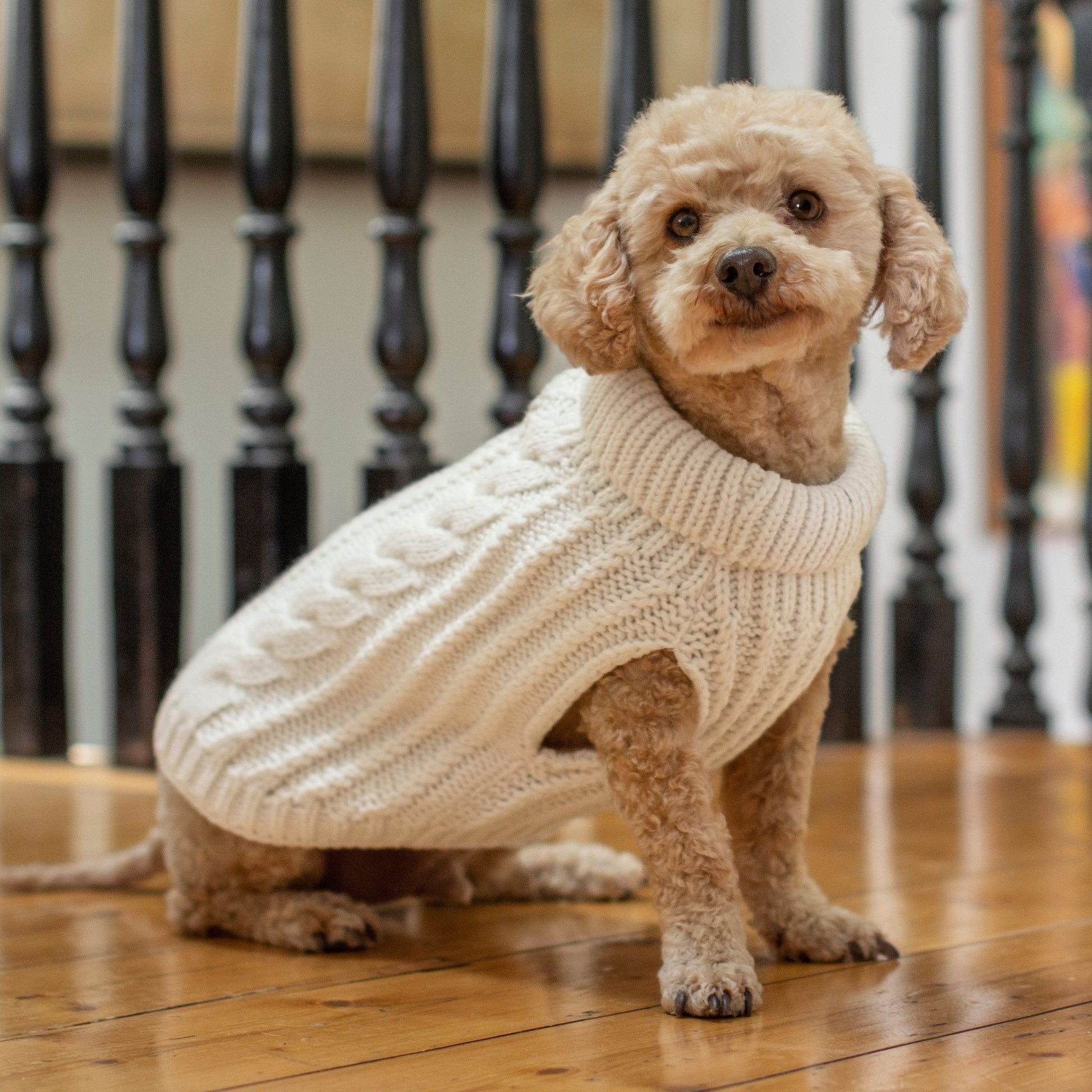 DGG White Fluffy Cable Knitted Dog Jumper - My Pooch and Me