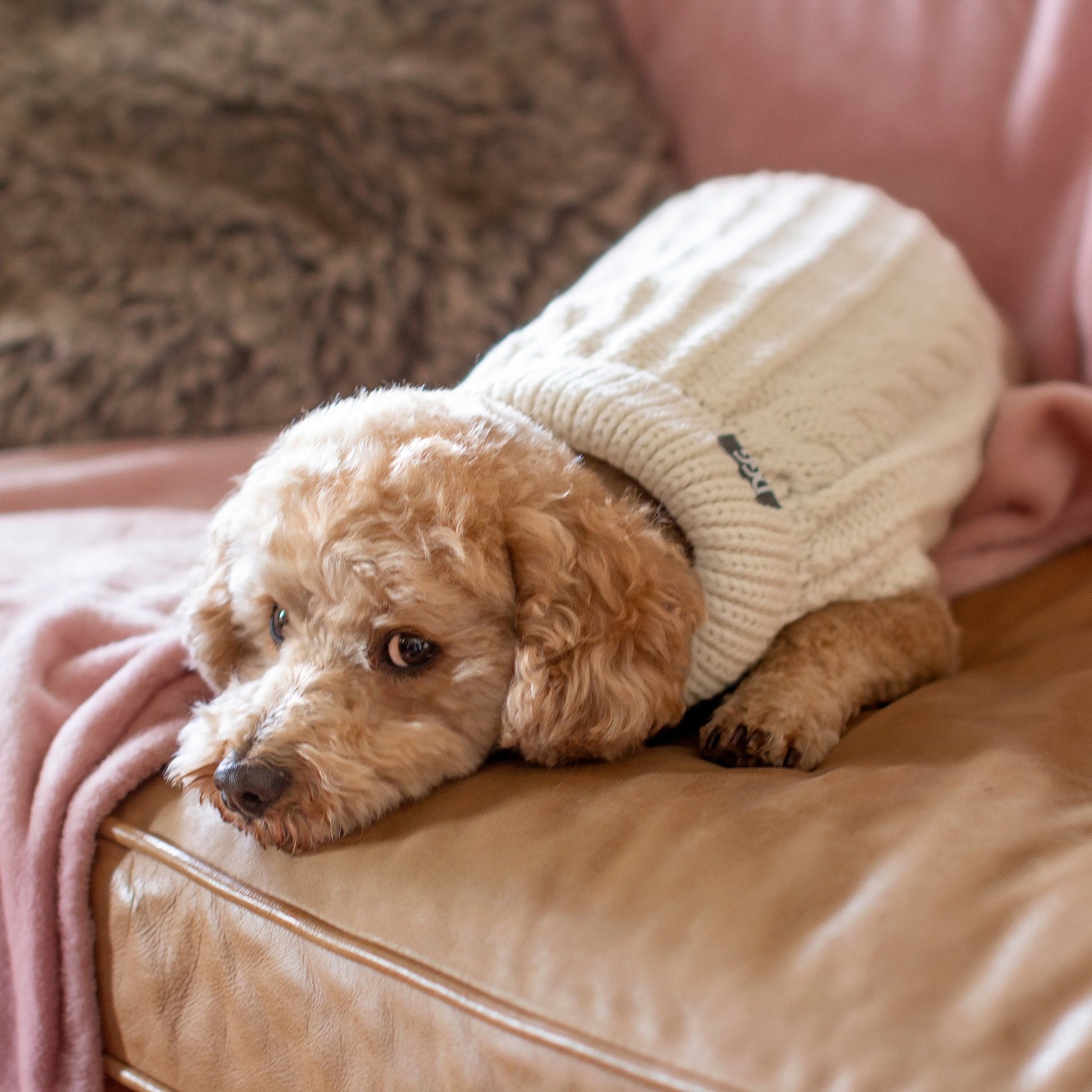 DGG White Fluffy Cable Knitted Dog Jumper - My Pooch and Me