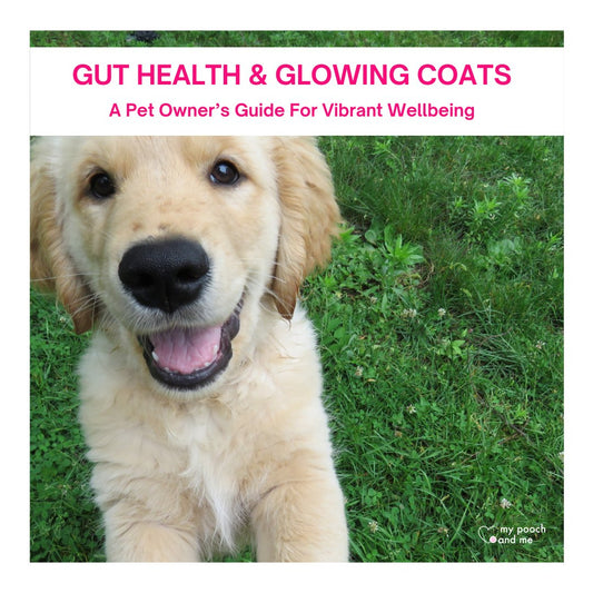 Gut Health & Glowing Coats Guide - My Pooch and Me