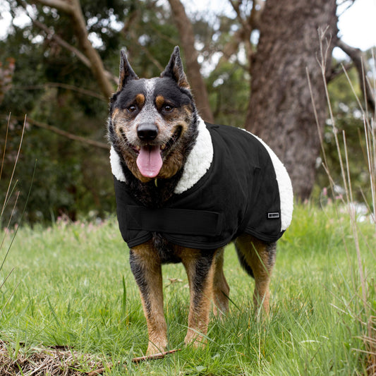 Ruff N Rugged Black Denim Coat - My Pooch and Me