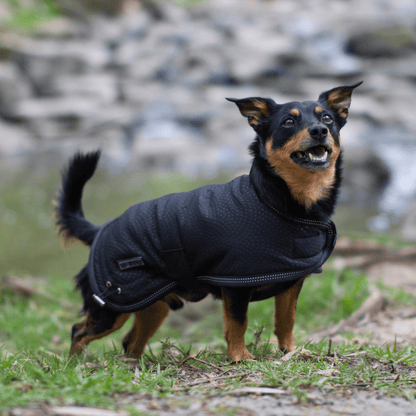 Ruff N Rugged Black Rambler Dog Coat - My Pooch and Me