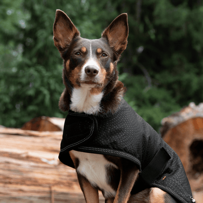 Ruff N Rugged Black Rambler Dog Coat - My Pooch and Me