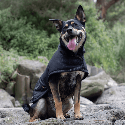 Ruff N Rugged Black Rambler Dog Coat - My Pooch and Me