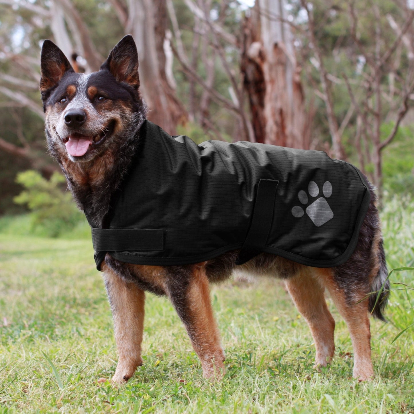 Ruff N Rugged Black Utility Dog Coat - My Pooch and Me